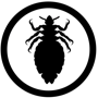 Piojos Icon