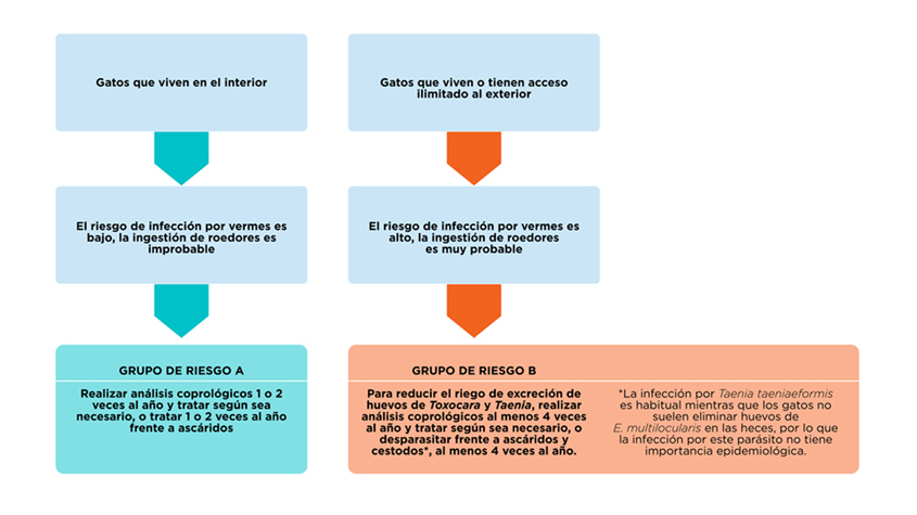 Figura 2. Adaptación de la Guía Nº 1 ESCCAP para la desparasitación individual de gatos.